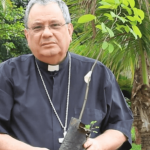Secretário-Geral da CNBB motiva os católicos a Cuidar da Vida e da Saudade